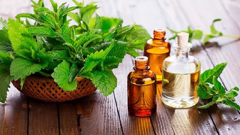 Natural Hair Care Tips for Healthy Hair