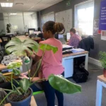 Office Massage corporate wellness Day Cape Town