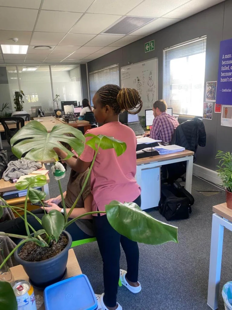 Office Massage corporate wellness Day Cape Town